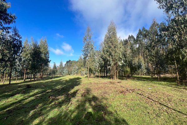 Parcelas Los Lagos