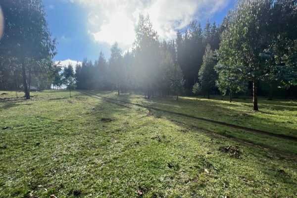 Parcelas Los Lagos