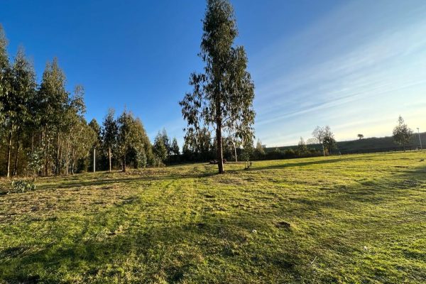 Parcelas Los Lagos