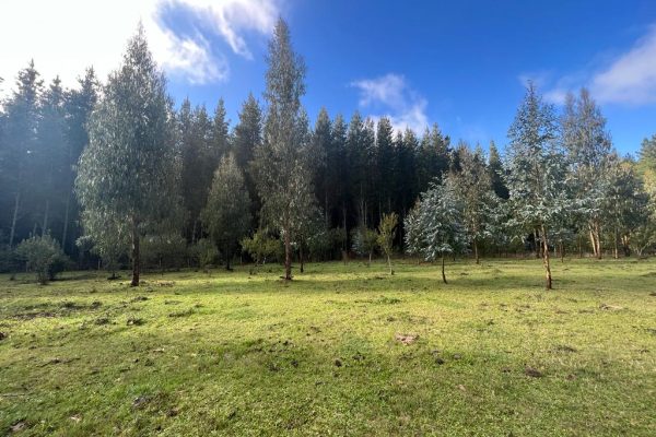 Parcelas Los Lagos