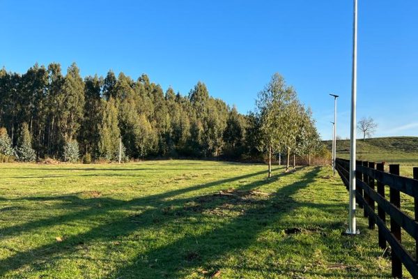 Parcelas Los Lagos